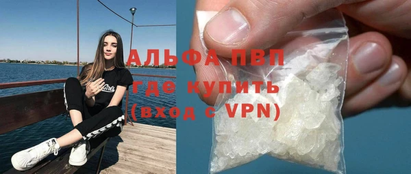 шишки Надым