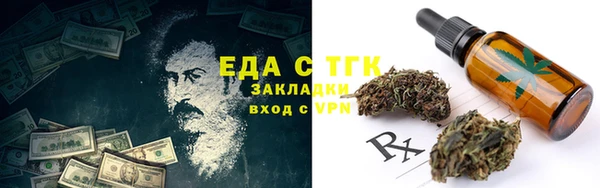 шишки Надым