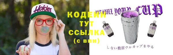 шишки Надым
