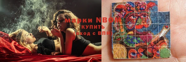 шишки Надым