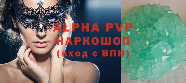 шишки Надым