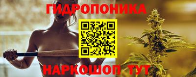 амф Донской