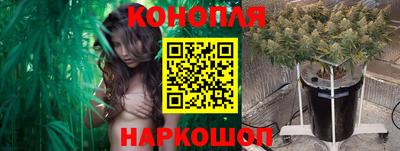амф Донской