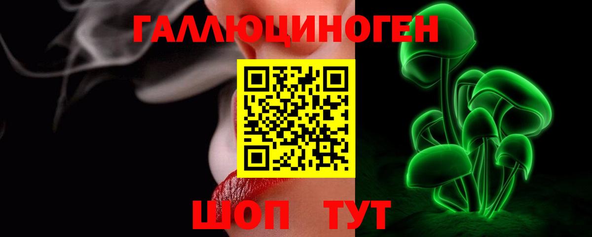 наркота  Севастополь  Псилоцибиновые грибы Cubensis 