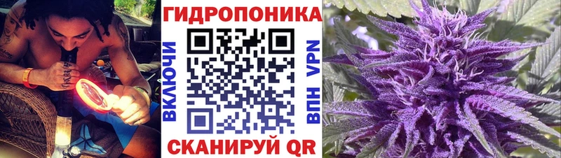 shop официальный сайт  Севастополь  МАРИХУАНА OG Kush  где купить  